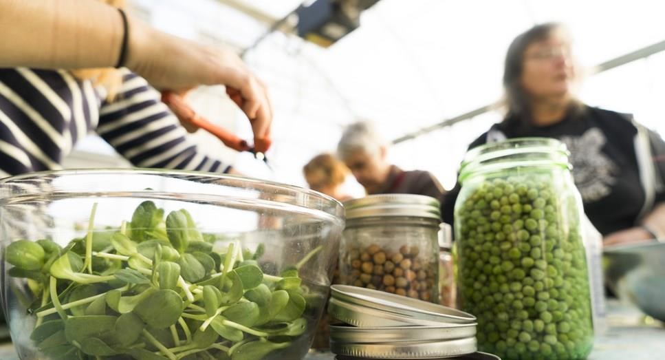 three people sorting vegetables