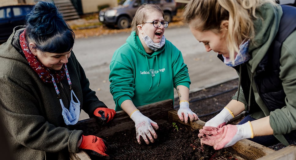 three people sorting vegetables