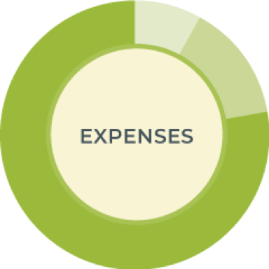 expenses chart