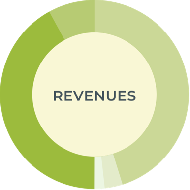 revenues chart