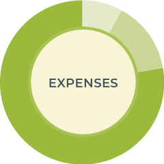 expenses chart