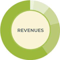 revenues chart